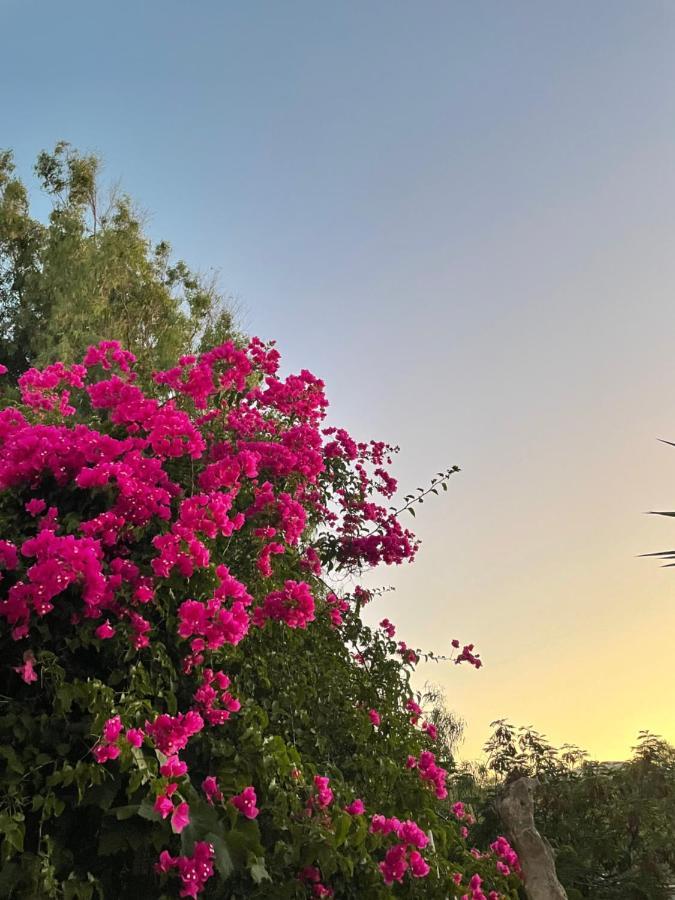 Villa Maina Kamari  Bagian luar foto